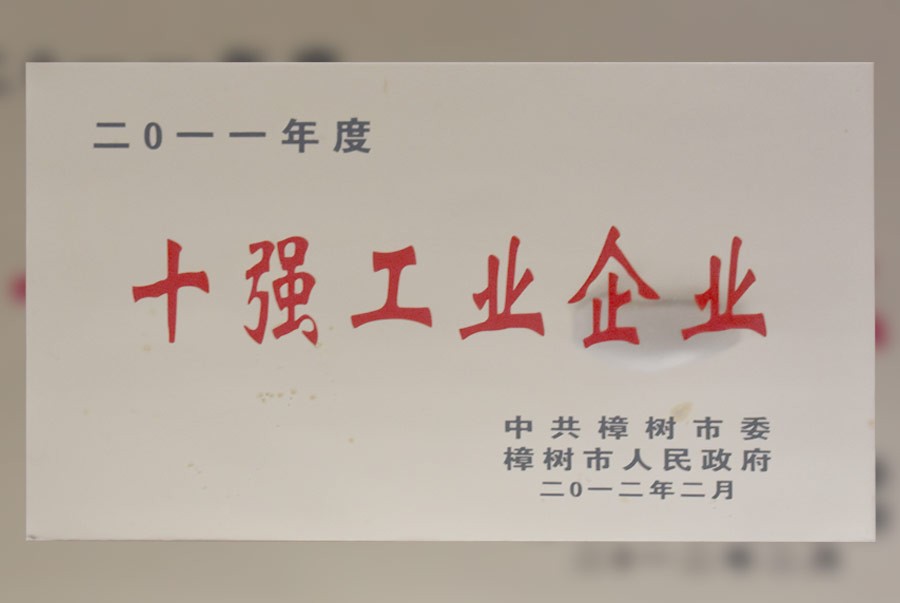 十强工业企业